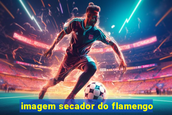 imagem secador do flamengo